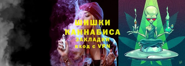 ГАЛЛЮЦИНОГЕННЫЕ ГРИБЫ Медногорск