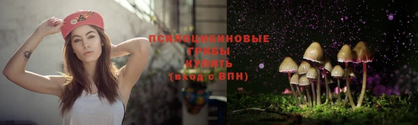 ГАЛЛЮЦИНОГЕННЫЕ ГРИБЫ Медногорск
