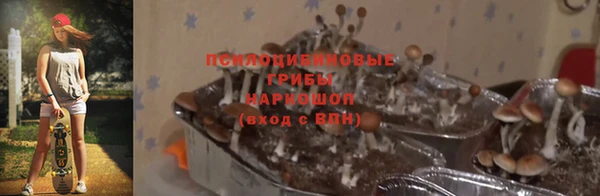 марки nbome Медвежьегорск