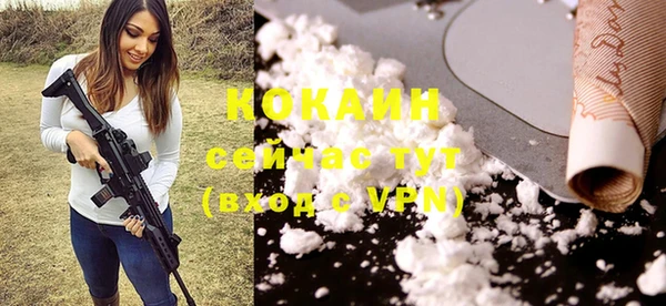 дживик Мегион