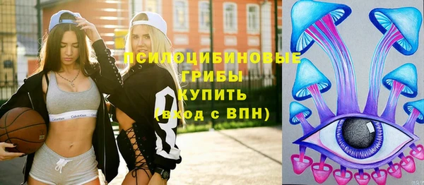 ГАЛЛЮЦИНОГЕННЫЕ ГРИБЫ Медногорск