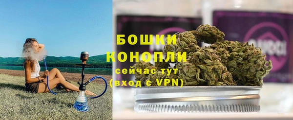 ГАЛЛЮЦИНОГЕННЫЕ ГРИБЫ Медногорск