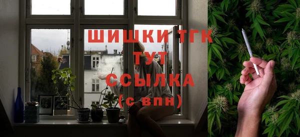 дживик Мегион
