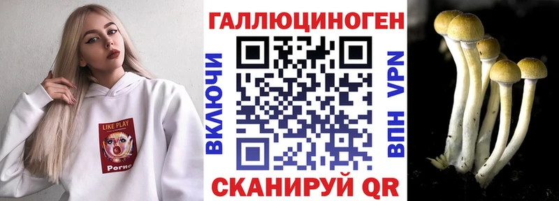 Купить закладки  Асино  Псилоцибиновые грибы мицелий 